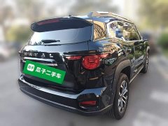 Haval Big Dog PLUS 2.0T Two-Wheel Drive Trendy Wilderness Edition Plus - ფოტო 6