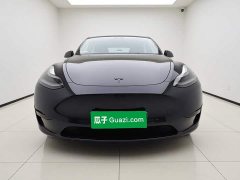 Tesla Model Y Rear-Wheel Drive - ფოტო 2