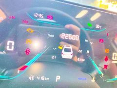 Changan Eado 2022 PLUS Blue Whale NE 1.4T GDI DCT Luxury Edition - ფოტო 8