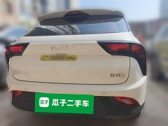 Neta V Long-Range Industry Custom Edition - ფოტო 5