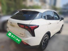 Neta V Long-Range Industry Custom Edition - ფოტო 6