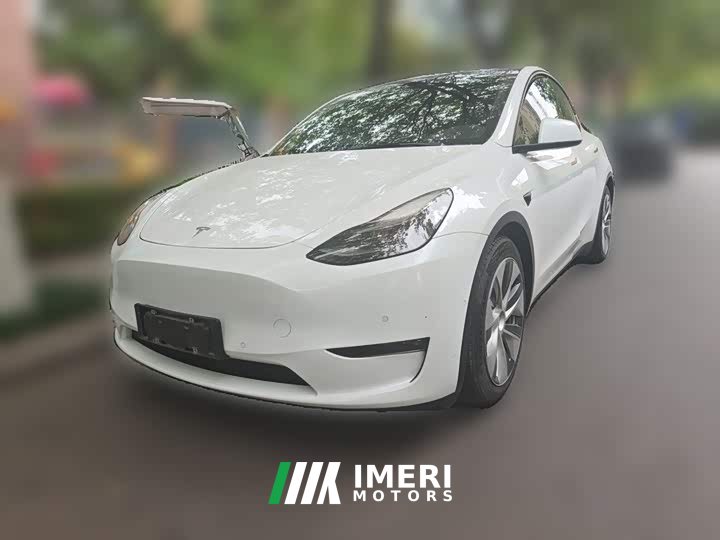 Tesla Model Y Standard Range RWD - ავტომობილი ჩინეთიდან