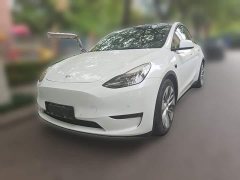Tesla Model Y Standard Range RWD - ფოტო 1