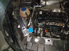 Chery Tiggo 7 2024 1.5T Manual Honor Edition - ფოტო 20