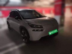 AION V 2021 Plus 80 Zhixiang Technology Edition Ternary Lithium - ფოტო 3