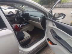 BYD Yuan Pro 2021 401KM Deluxe - ფოტო 19
