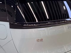 Zeekr MIX 2025 Smart Driving Edition - ფოტო 9