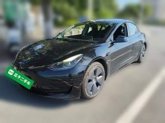 Tesla Model 3 Standard Range RWD Upgrade 3D6 - ფოტო 1
