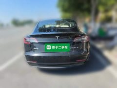 Tesla Model 3 Standard Range RWD Upgrade 3D6 - ფოტო 3