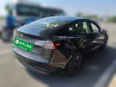Tesla Model 3 Standard Range RWD Upgrade 3D6 - ფოტო 4