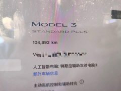 Tesla Model 3 Standard Range RWD Upgrade 3D6 - ფოტო 8