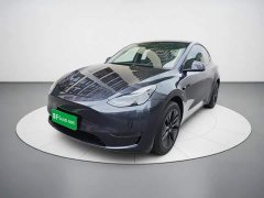 Tesla Model Y Long Range All-Wheel Drive - ფოტო 1