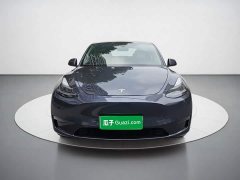 Tesla Model Y Long Range All-Wheel Drive - ფოტო 2