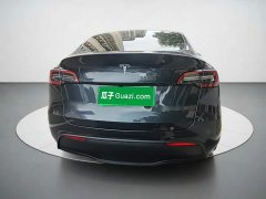 Tesla Model Y Long Range All-Wheel Drive - ფოტო 3