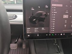 Tesla Model Y Long Range All-Wheel Drive - ფოტო 7