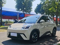 BYD Seagull 2023 Freedom Edition - ფოტო 1