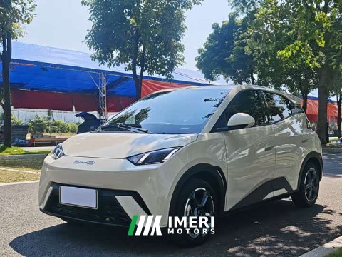 2024 BYD Seagull 2023 Freedom Edition - ავტომობილი ჩინეთიდან