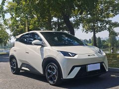 BYD Seagull 2023 Freedom Edition - ფოტო 3