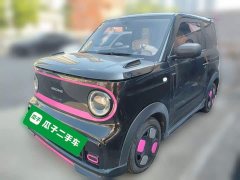 Geely Panda 2025 210km Panda Kart - ფოტო 1