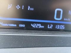 Geely Panda 2025 210km Panda Kart - ფოტო 8
