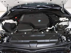 BMW 3 Series 325Li M Sport Night Edition Package - ფოტო 19