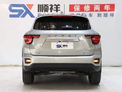 Haval Big Dog PLUS New Energy DHT-PHEV 105km Trendy Electric Edition Plus - ფოტო 5