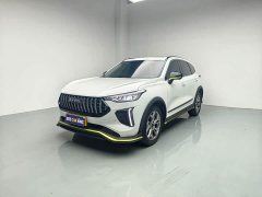 Haval Chitu Jingxiang Edition 1.5T Purple Copper Rabbit - ფოტო 1