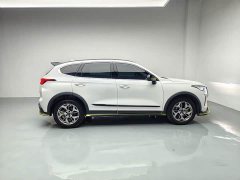 Haval Chitu Jingxiang Edition 1.5T Purple Copper Rabbit - ფოტო 6
