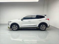 Haval Chitu Jingxiang Edition 1.5T Purple Copper Rabbit - ფოტო 9