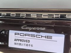 Porsche Cayenne 3.0T Platinum Edition - ფოტო 20