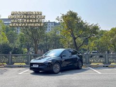 Tesla Model Y L 2025 Long Range All-Wheel Drive - ფოტო 1