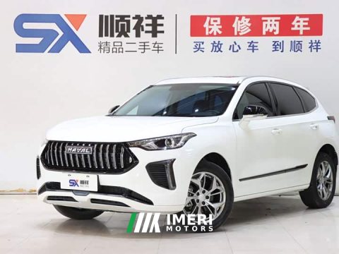 2023 Haval Haver Rabbit 1.5T Progressive - ავტომობილი ჩინეთიდან