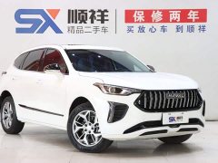 Haval Haver Rabbit 1.5T Progressive - ფოტო 3