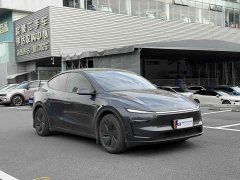 Tesla Model Y Long Range All-Wheel Drive Launch Edition - ფოტო 3