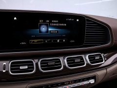 Mercedes-Benz Maybach GLS 2022 GLS 480 4MATIC - ფოტო 8