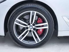 BMW 5 Series 530Li xDrive Luxury Package - ფოტო 11