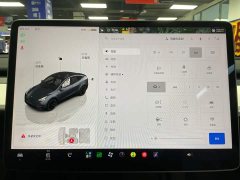 Tesla Model Y Rear-Wheel Drive - ფოტო 19