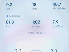 Li Auto L9 Ultra Smart Refresh Edition - ფოტო 10