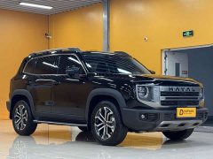 Great Wall Dachshund 2024 1.5T DCT Border Collie Edition - ფოტო 1