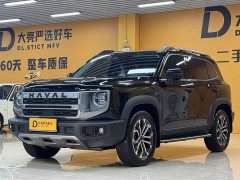 Great Wall Dachshund 2024 1.5T DCT Border Collie Edition - ფოტო 2