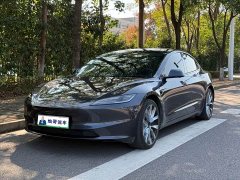 Tesla Model 3 2023 Rear-Wheel Drive - ფოტო 1