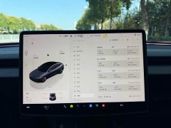 Tesla Model 3 2023 Rear-Wheel Drive - ფოტო 8