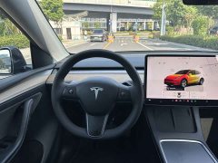 Tesla Model Y Rear-Wheel Drive - ფოტო 10