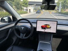 Tesla Model Y Rear-Wheel Drive - ფოტო 11