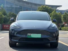 Tesla Model Y Rear-Wheel Drive - ფოტო 2