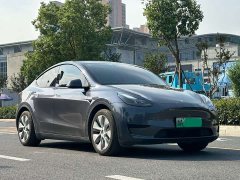 Tesla Model Y Rear-Wheel Drive - ფოტო 3