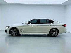 BMW 5 Series Facelift 530Li Executive M Sport Package - ფოტო 8