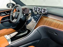 Mercedes-Benz GLC 300 L 4MATIC Dynamic 7-Seater - ფოტო 17