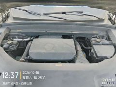 Li Auto L9 Pro - ფოტო 6