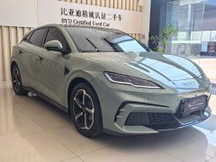 BYD Dolphin 06GT Smart Drive 505 Wave Plus Edition - ფოტო 2